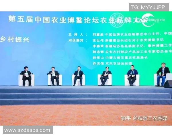北京羽毛球队整体压制革新之路探索与未来展望